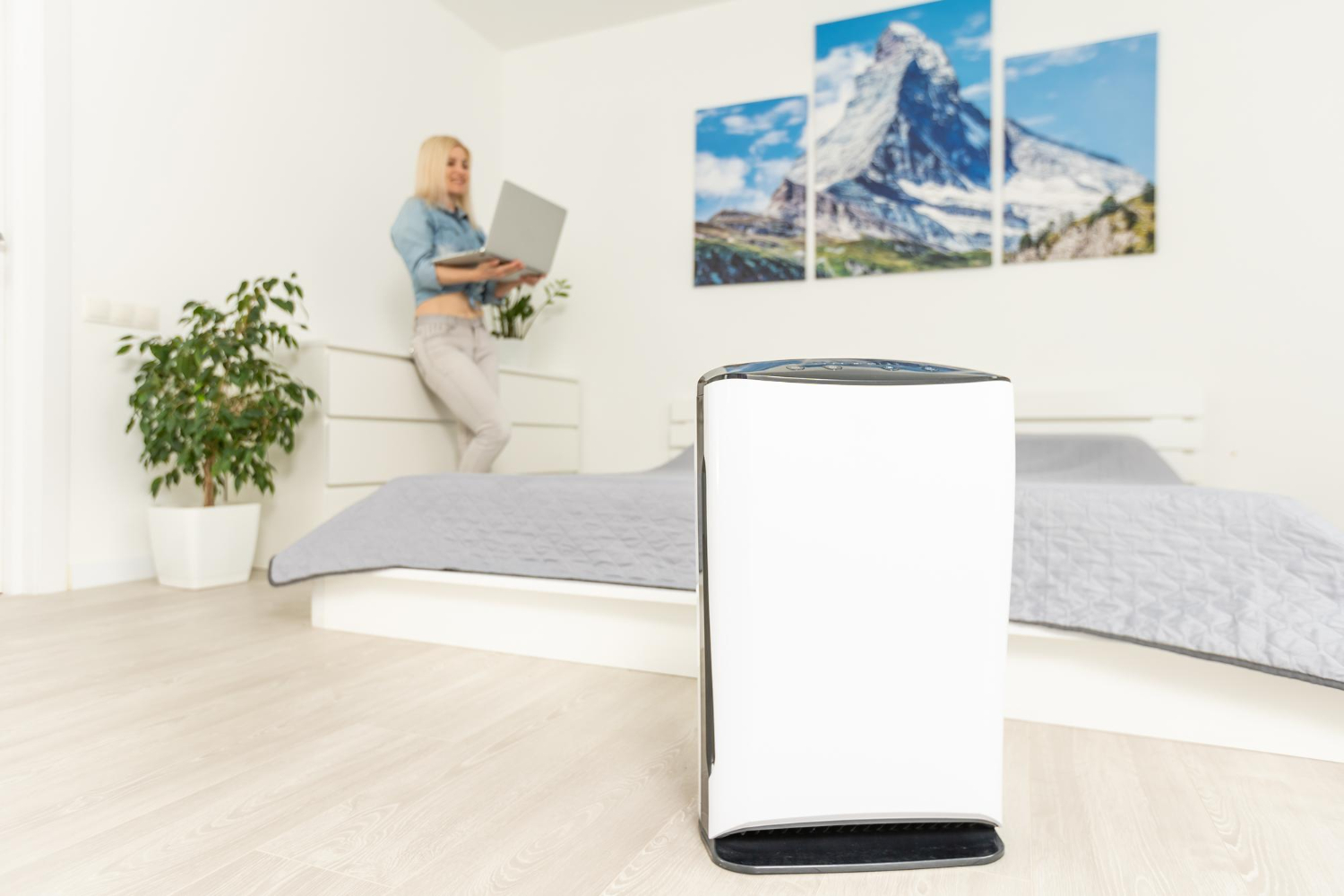 air purifier